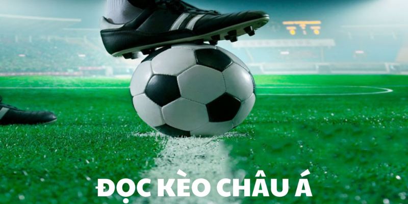 Hướng Dẫn Đọc và Hiểu Kèo Châu Á Dành Cho Người Mới Bắt Đầu