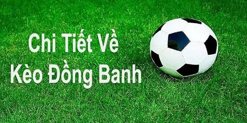 So Sánh Kèo Đồng Banh với Các Loại Kèo Châu Á Khác
