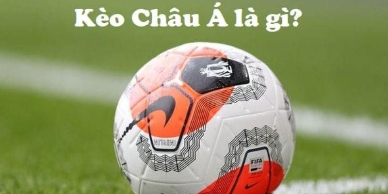 Định Nghĩa và Tổng Quan Thị Trường Cá Cược