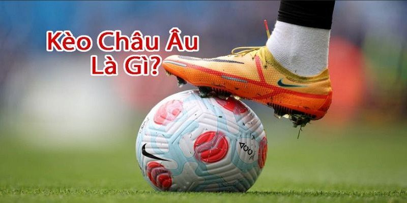 Tổng Quan và Cách Thức Hoạt Động